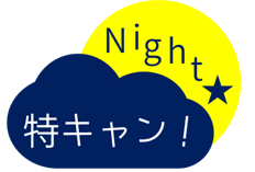 SCT_Night_logo.png
