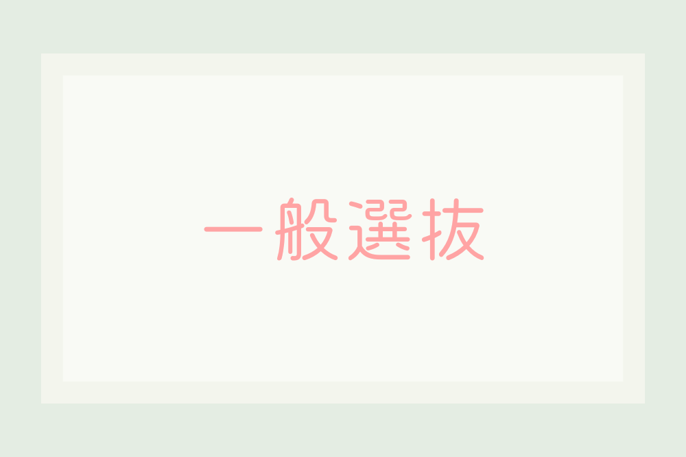ippan.png